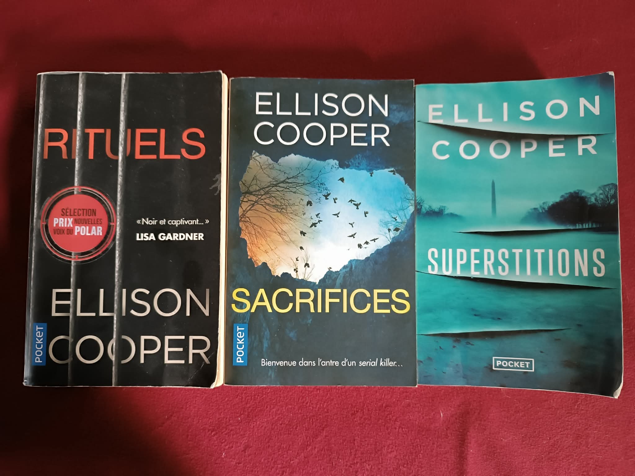 Ellison Cooper et la trilogie Sayer Altair — un coup de cœur